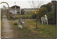 Aleshanee 2-2009 001